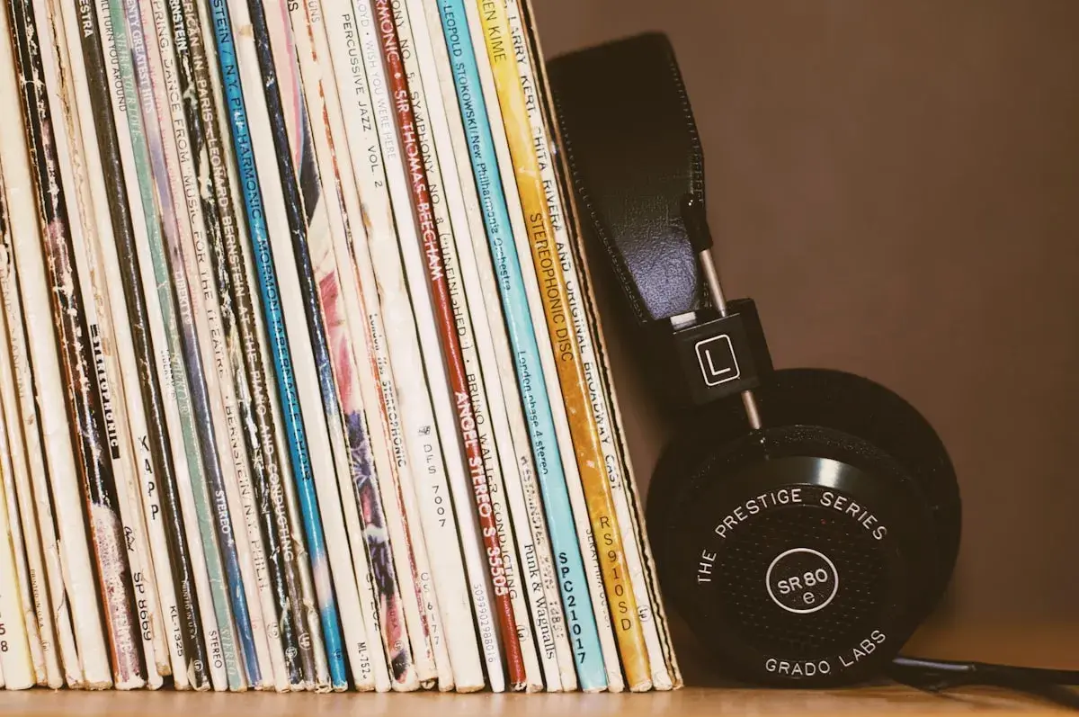 Vinyl records on shelves in a music store