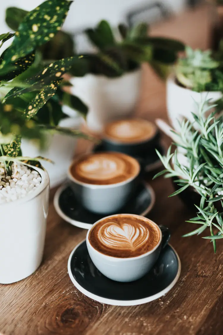 Cozy cafe interior with warm lighting and comfortable seating
